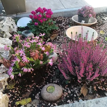 Penzion Appunti Di Viaggio & Breakfast San Giorgio di Piano